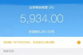 互联网干货故事—京东白条TX 暴利的操作流程 ！大 揭秘！图片