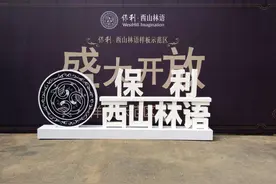 保利西山林语样板间倾城共鉴  院墅火爆认筹图片