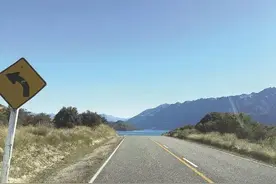 在新西兰考驾照是怎么个体验？且看三位女司机的绵羊国考驾照记图片