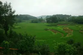 雨后的家乡，空气清新，景色怡人！图片