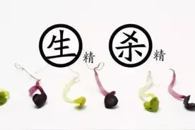吃什么能提高“小蝌蚪”的活力？图片