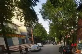46年前，株洲设立郊/东/南/北四个县级区图片