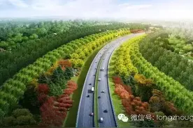 通州又一片地方因修路绿化拆迁腾退了 看有没有你家图片