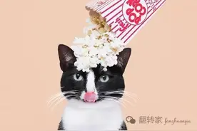 总有刁民想害朕,有图为证！图片