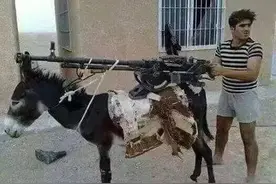 反坦克驴、火炮驴、自爆驴、机枪驴等虽然搞笑，但战斗驴很是彪悍图片