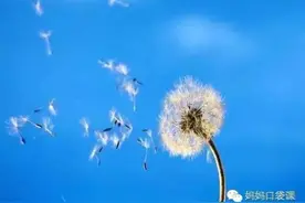 30种方法让你成为有趣的妈妈（妈妈口袋课）图片