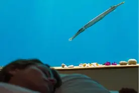 真实版的“龙王宫”：在这儿睡觉，可以看鱼从身边游过图片