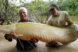 英国垂钓者冒险捕获“河中巨怪”图片