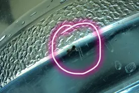 百年老字号的桶装水里竟然发现蟑螂，桶装水到底还能不能喝？图片