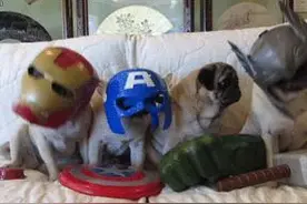 跟着我的节奏摇起来不要停图片