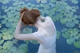 静听莲的心事图片
