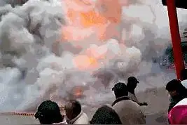 身残志坚的狗狗，都会两条腿跑路了图片