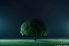 从时常问自己的问题开始找到人生图片