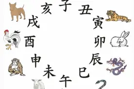 合婚参考——十二属相注意的生日图片