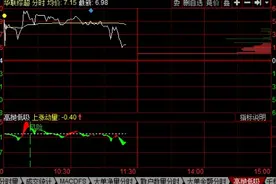 level2:一股发出“风险”信号，少亏3.85%！图片