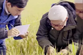 京东智慧农业共同体视频封面