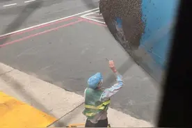 胡志明市新山机场：客机遭蜂群围攻 机长不敢让乘客下飞机图片