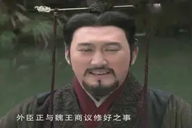 魏冉找魏王和谈，秦国愿意割地给魏韩求和视频封面