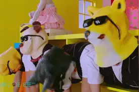 《红烧肉》又一首魔性之歌