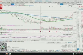 周刚：鲁北化工值得关注视频封面