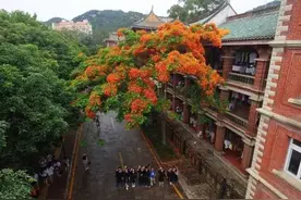 厦大毕业证、学位证换新版啦！你手中的证书是哪个版？图片