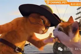 宠物乐翻天 | 你是猴子请来的逗比吗图片