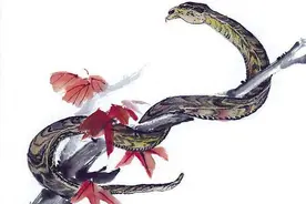 十二生肖到底谁最有恋母情结图片