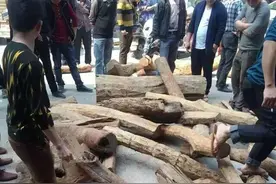 拆一大堆房顶梁柱全是海黄老料就一根能卖100万，都炸开锅了！图片