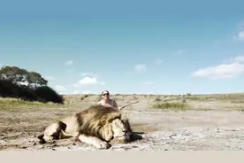 情侣正与被猎杀的狮子合影庆祝，突然背后出现另一只狮子猎杀他俩图片