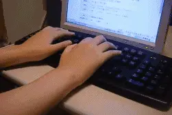 天不怕地不怕的喵星人面对鹦鹉却秒怂了...哈哈哈，小怂样萌坏图片