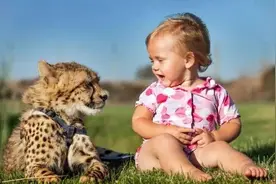 这对小兄妹的特殊伙伴竟是猎豹，从小练胆图片