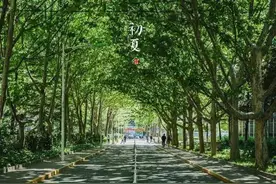 学在北师大留学3+2本硕连读 |想和你一起走遍初夏的校园图片