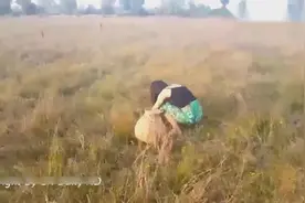 实拍女子徒手抓蛇，胆子真大，吓得我一身冷汗