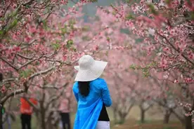 边读边哭：那年，妹妹把唯一读书的机会给了我图片