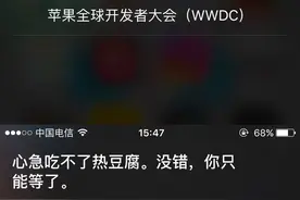 问Siri WWDC会带来什么？Siri跟你兜圈圈就是不泄秘图片