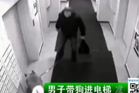 男子带狗进电梯 发生了令人乍舌的一幕 ！图片