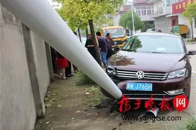 女司机又惹祸，油门当刹车，路灯杆被连根顶起图片