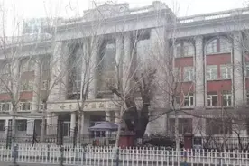 哈尔滨10所最新的热门小学！各位幼升小家长必备！图片