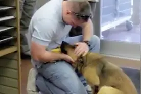 走丢七个月的狗狗与主人重逢，眼神充满泪光图片