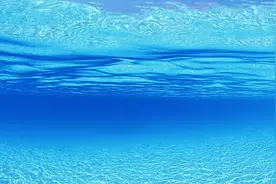 探秘真实、美丽、色彩斑斓的海底世界图片