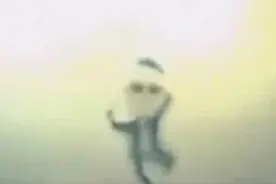 你没看过的皮影版江南style图片