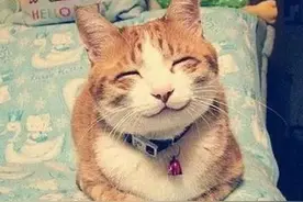 不许笑！岗位表情一览表，太TMD形象了~图片