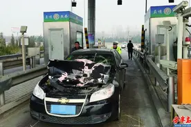 半挂牵引车倒车过磅速度快 将轿车压"屁股"下图片