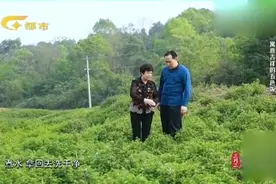 广西传统美食五色糯米饭的红色紫色 竟是用绿色植物染出来的！视频封面