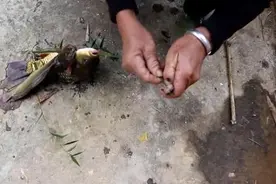 这个古稀之年的老年人厉害了！制作自动钓鱼竿 每次都有鱼上钩