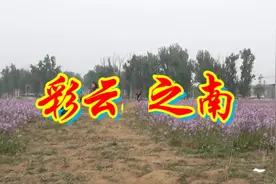 歌曲《彩云之南》真是好听至极，忍不住分享给你们！视频封面