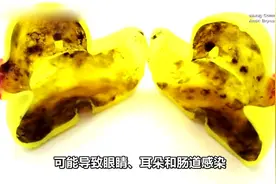 泡澡时总爱在水里放橡皮小黄鸭？然而里面可能是这样的……