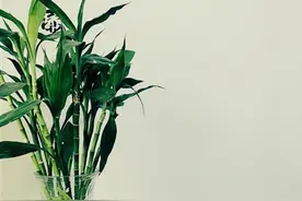 如果生活有一百种方式，你选择哪种图片