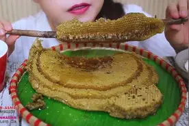 老外吃蜂巢蜜，这是把蜜蜂的老窝一锅端了啊