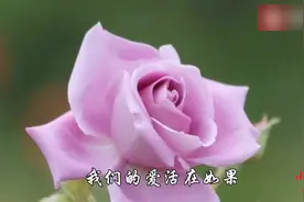 这首歌还没听完就哭了，此生没法在一路，下辈子等着您视频封面